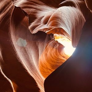 Meet your Posher, Patrick